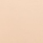  Quần lót nữ thun lạnh bikini iBasic - V199-3 