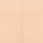  Quần lót mặc váy iBasic cotton - V107 