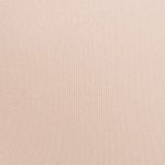  Áo ngực ren iBasic mặc áo dài có gọng mút vừa cup T-shirt - BRAW103 