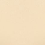  Quần lót nữ iBasic lưng cao trơn cotton USA kháng khuẩn - PANW147C 
