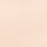 [NUDE TONE] Bra Set áo ngực nữ iBasic áo ngực có gọng mút dày và quần không đường may lưng cao BRAW163+V119 