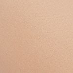  Áo ngực có gọng iBasic mút mỏng trơn - BRAW020-1 
