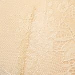  Áo ngực có gọng iBasic mút mỏng full ren  - BRAW105 