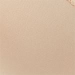  Pack 2 combo quần lót nữ iBasic cotton hipster lưng vừa daily - PANW172-PA2 