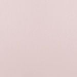  Quần lót nữ su không đường may iBasic lọt khe free cut - PANW178 