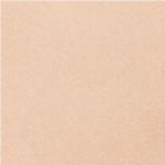  Áo bralette iBasic không gọng mút mỏng - BRAW153 