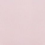  Quần lót nữ không đường may seamless iBasic bikini lưng vừa  - PANY100 
