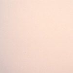  Áo ngực không gọng iBasic không đường may không mút - BRAW034 