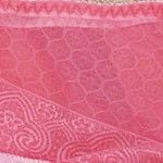  Quần lót nữ ren iBasic bikini - PANW159 