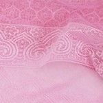 Quần lót nữ ren iBasic bikini - PANW159 