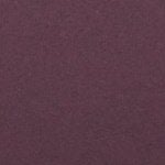  Quần lót nữ thun lạnh bikini iBasic - V199-3 