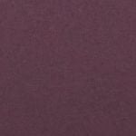  Quần lót nữ thun lạnh bikini iBasic - V199-3 