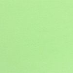  Quần lót bé gái iBasic cotton USA kháng khuẩn - PANG011 