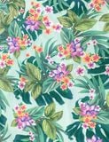  Áo bơi croptop nữ trễ vai - IVWT045 