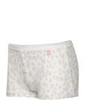  Quần lót bé gái iBasic cotton USA kháng khuẩn phom boyshort hoạ tiết - PANG014 
