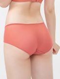  Quần lót nữ ren lưới iBasic hipster -  PANW132 