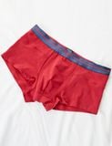  Quần lót nam trunk iBasic cotton USA kháng khuẩn - PANM056 