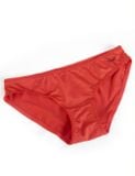  Quần lót nữ iBasic thun lạnh Smoothies bikini - PANW130 