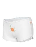  Hộp 3 quần lót bé gái iBasic cotton USA kháng khuẩn boyshort hoạ tiết - PANG020 