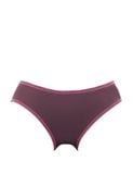  Quần lót nữ thun lạnh bikini iBasic - V199-3 