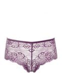  Quần lót nữ ren iBasic hipster - PANW137 