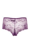  Quần lót nữ ren iBasic hipster - PANW137 