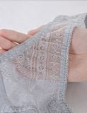  Quần lót nữ ren lưới iBasic phom bikini - PANW168 
