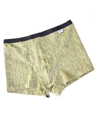  Quần lót bé trai iBasic cotton USA kháng khuẩn dạng đùi họa tiết - PANB027C 