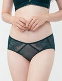 Quần lót nữ ren lưới iBasic hipster -  PANW132 