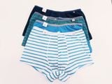  Quần lót bé trai iBasic cotton USA kháng khuẩn - PANB023 