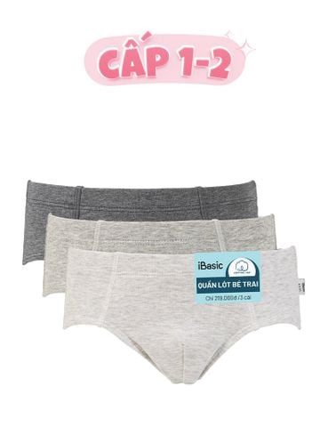  Pack 3 quần lót bé trai iBasic phom tam giác cotton USA kháng khuẩn - PANB029-PA3 