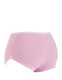 Hộp 3 cái Quần lót bé gái iBasic cotton USA kháng khuẩn phom boyshort - PANG009 