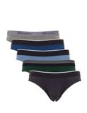  Combo 5 quần lót nam iBasic thun lạnh brief poly - PANM006 