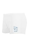  Quần lót nữ iBasic cotton USA hoạ tiết Cung hoàng đạo kháng khuẩn phom boyshort iBasic  - PANT028-1 