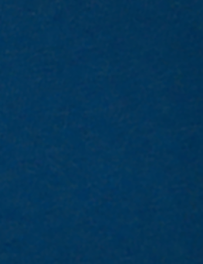 Xanh Navy