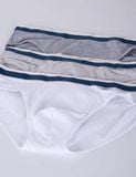  Quần lót học sinh bé trai iBasic 10y - 18y phom tam giác cotton USA kháng khuẩn - PANTB002 