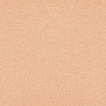  Quần lót nữ iBasic thun lạnh bikini - PANW002 