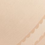  Quần lót nữ ren iBasic bikini - PANW159 