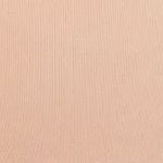  Pack 2 combo quần lót nữ iBasic cotton hipster lưng vừa daily - PANW172-PA2 