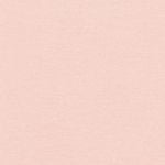  Pack 2 combo quần lót nữ iBasic cotton hipster lưng vừa daily - PANW172-PA2 