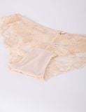  Quần lót nữ ren iBasic phom bikini lưng vừa  - PANY095 