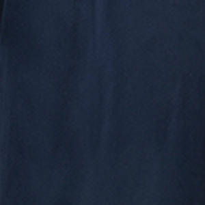 Xanh Navy