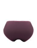  COMBO 5 Quần lót nữ thun lạnh bikini iBasic - V199-3 