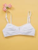  Áo ngực học sinh iBasic cotton USA kháng khuẩn cài sau - VA107 
