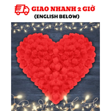 Cánh Hoa Hồng Đỏ và Đèn Ánh Sao Trang Trí Valentine - Red Rose Petals and Fairy Light for Valentine Decorations VLT06