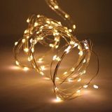 Đèn led fairy light nnp 45