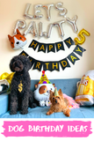 Bộ bóng sinh nhật cún cưng - Dog birthday balloon set sncm03
