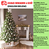 Bộ cây thông Noel và phụ kiện trang trí giáng sinh màu bạc ctne18