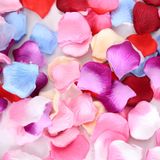 Cánh hoa hồng trang trí valentine rose petals vlt54