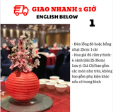 Bộ Combo Đèn Lồng Và Hoa Trang Trí Tết PKTET38